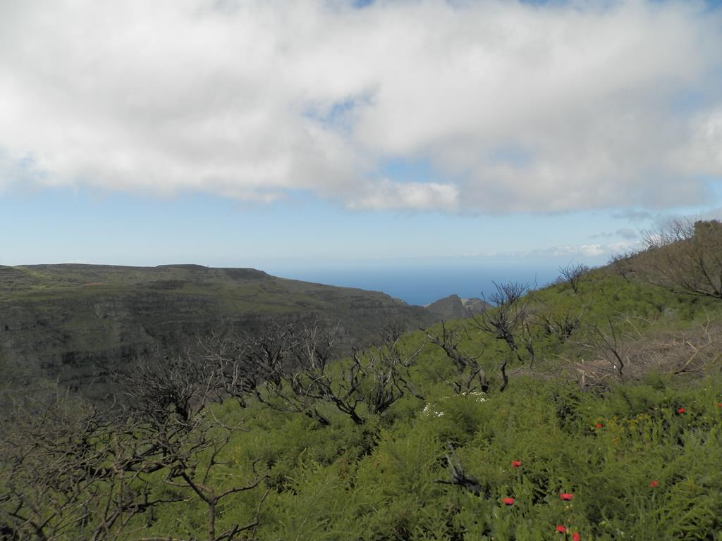 Wanderung von Arure nach  El Cercado, Calera